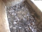 Falkenbild 09.08.2026