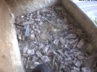 Falkenbild 31.08.2026